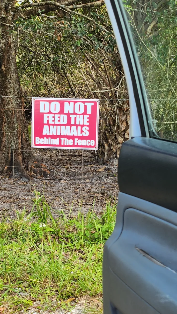 Visits Are Not Yet Open to the Public at Cassowary Conservancy of North America